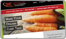 Get Great Stuff eBlast